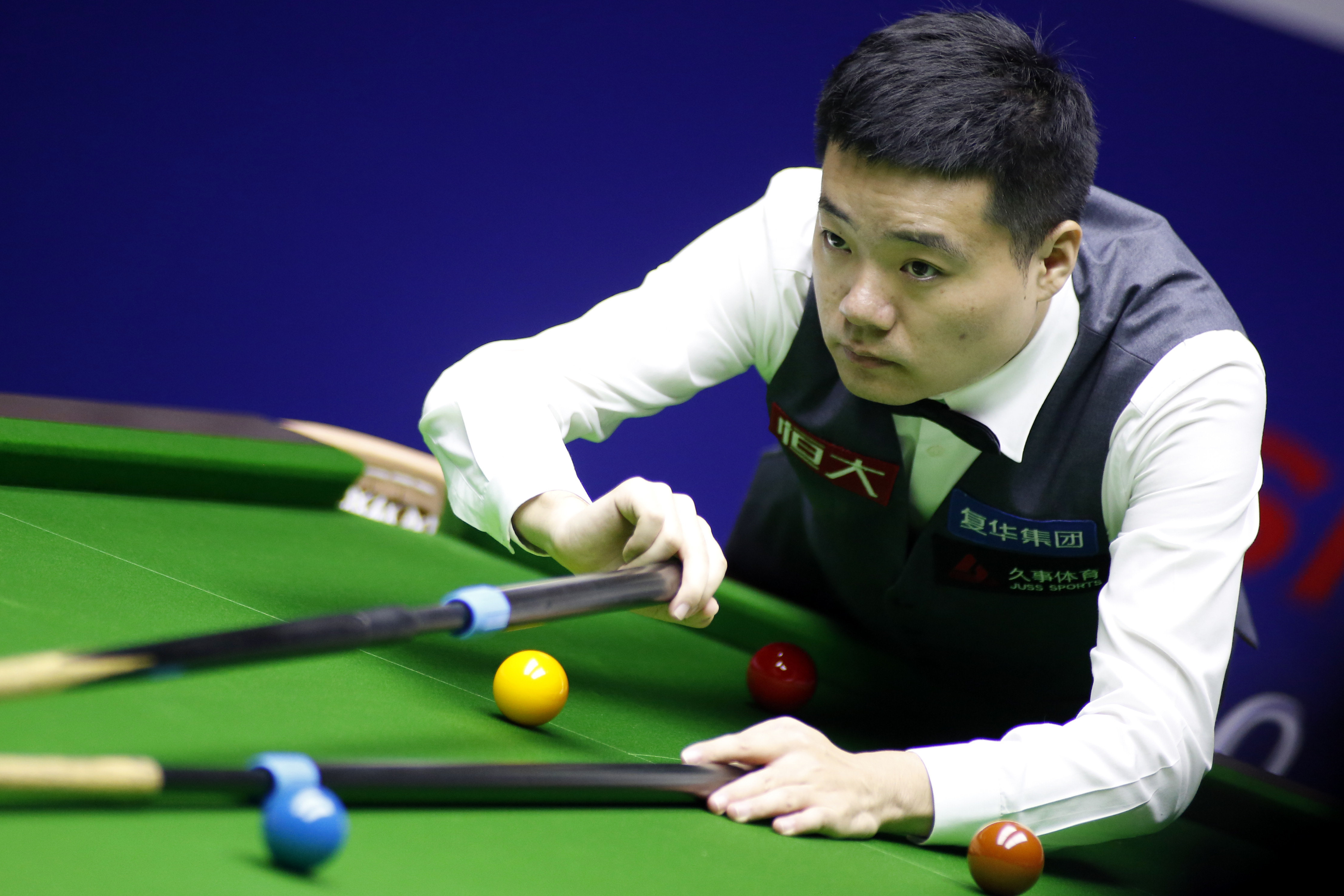 因为杨瀚森 因为杨瀚森